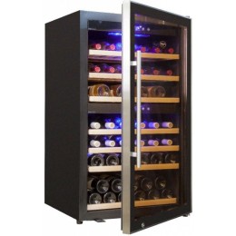 Винный шкаф Cold Vine C66-KBF2