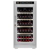 Винный шкаф Cold Vine C66-WW1 (Modern)