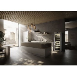 Винный шкаф Liebherr WPsd 5252 Vinidor