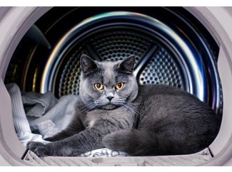 Класс энергопотребления B