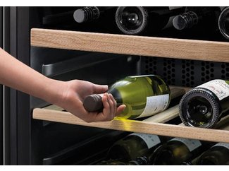 Две температурные зоны